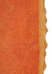 Similar image 1082221