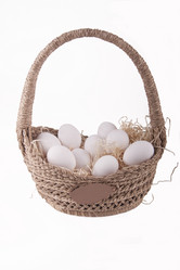 Similar image 1082267