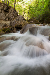 Similar image 1082308