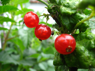 Similar image 1082314