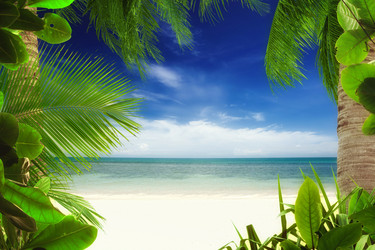 Similar image 1082402