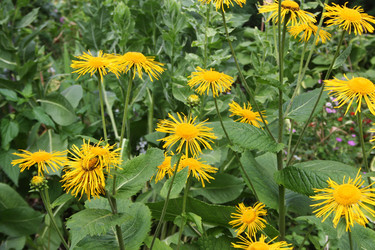 Similar image 1082417