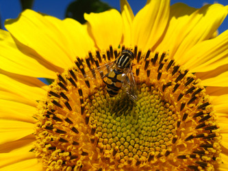 Similar image 1082421