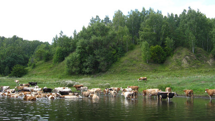 Similar image 1082428