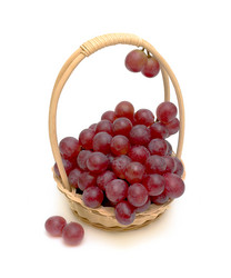 Similar image 1082539