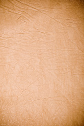 Similar image 1082544