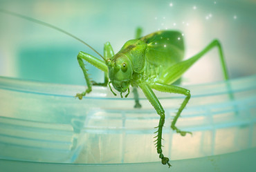 Similar image 1082625