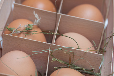 Similar image 1082666