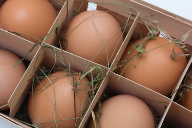 Similar image 1082668