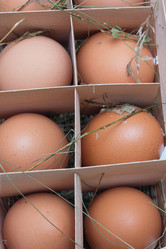 Similar image 1082669