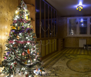 Similar image 1082684