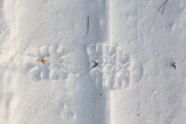 Similar image 1082789