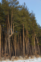 Similar image 1082792