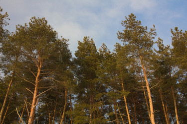 Similar image 1082791