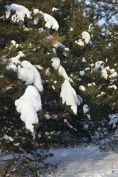 Similar image 1082799