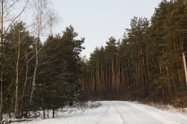 Similar image 1082797