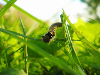 Similar image 1082850