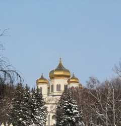 Similar image 1082851