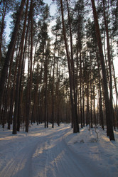 Similar image 1082872