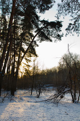 Similar image 1082871