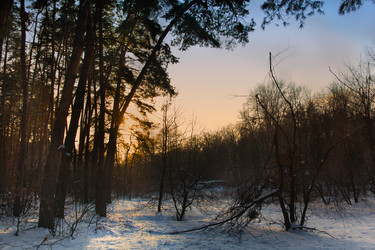 Similar image 1082873