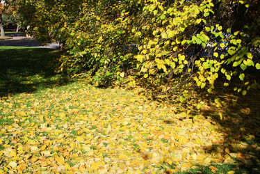 Similar image 1082878