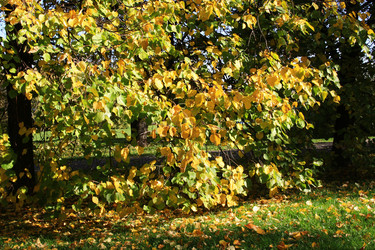 Similar image 1082876