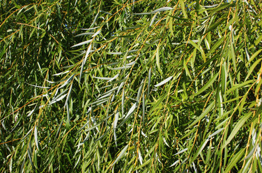 Similar image 1082883