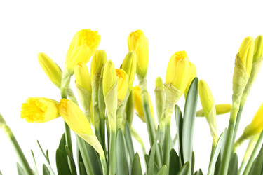 Similar image 1082891