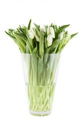 Similar image 1082893