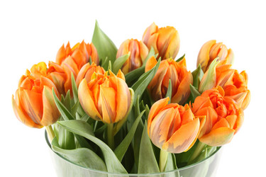 Similar image 1082890