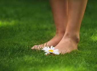 Similar image 1082935