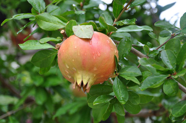 Similar image 1082973