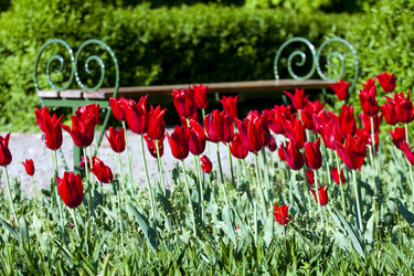 Similar image 1083155