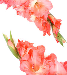 Similar image 1083178