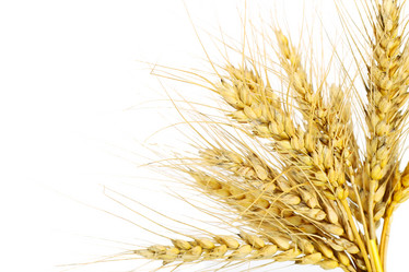 Similar image 1083185