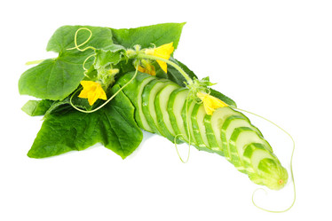 Similar image 1083184