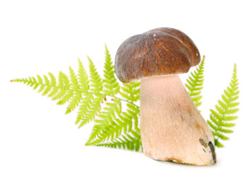 Similar image 1083183