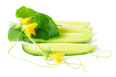 Similar image 1083187