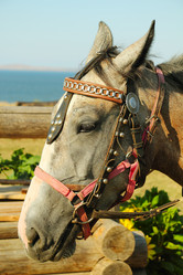 Similar image 1083191