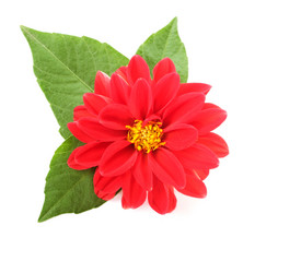 Similar image 1083189