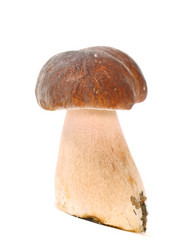 Similar image 1083196