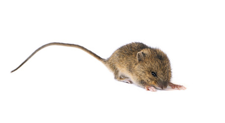 Similar image 1083197