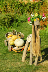 Similar image 1083200