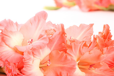 Similar image 1083201