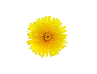 Similar image 1083207