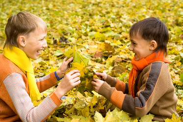 Similar image 1083316