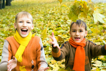 Similar image 1083315