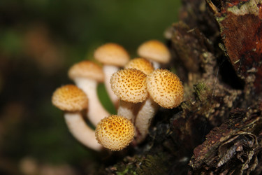 Similar image 1083337