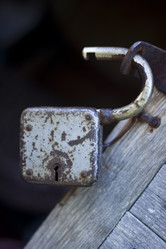 Similar image 1083343